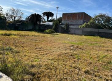 Terreno
