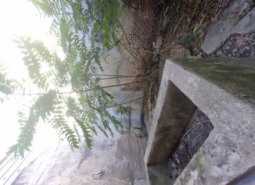 patio trasero