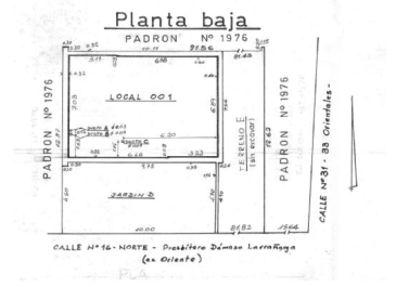 planta