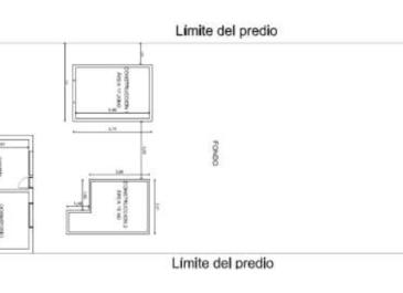 planta