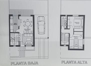 planta